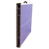 Foldable Mini table tennis table